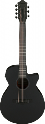 AEG721-BOT i gruppen Guitar / Western Guitar / AEG hos Crafton Musik AB (310118770813)