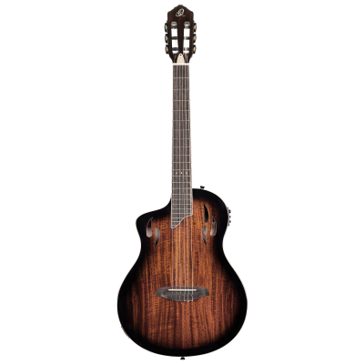 RTPDLX-ACA-L i gruppen Guitar / Klassisk og Spansk Guitar / Ortega / TourPlayer Series hos Crafton Musik AB (332156053349)