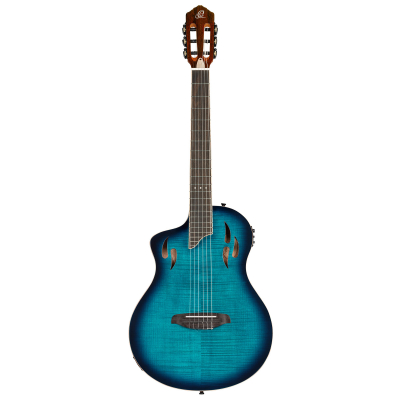 RTPDLX-FMA-L i gruppen Guitar / Klassisk og Spansk Guitar / Ortega / TourPlayer Series hos Crafton Musik AB (332156103349)